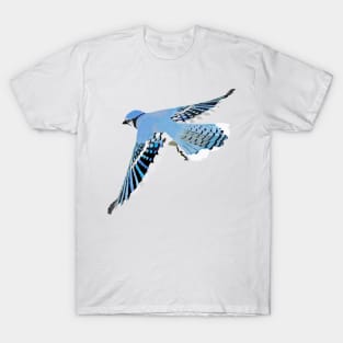 Blue Jay in flight T-Shirt